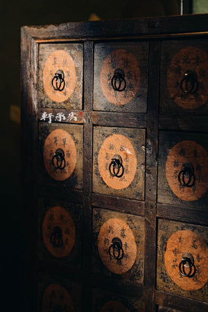 Apothecary Chest with Forty Six Drawers